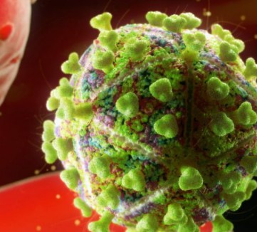 Blood borne pathogens blood borne pathogens training