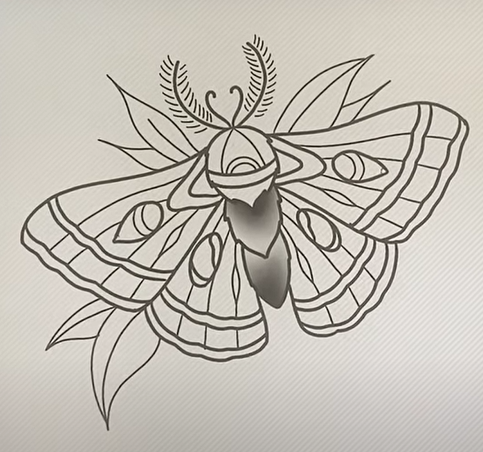 butterfly design shading1