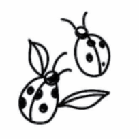 Ladybug Tattoo Ladybug Tattoo