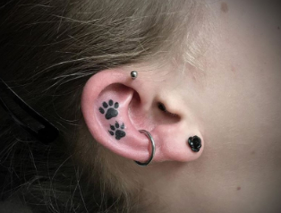 paw prints low key paw prints in black ink