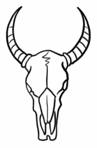 Ram’s skull Ram’s skull