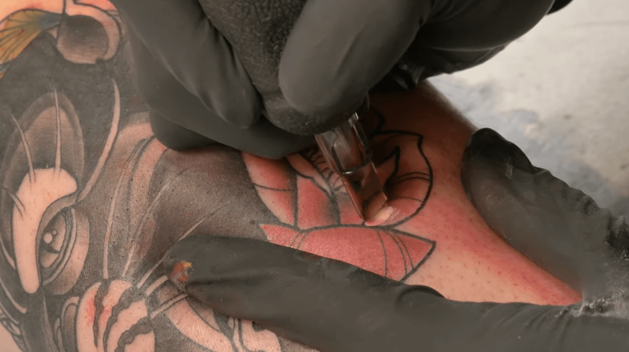 Screenshot 2024-04-25 082953