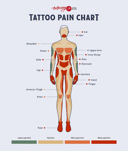 tattoo pain chart tattoo pain chart