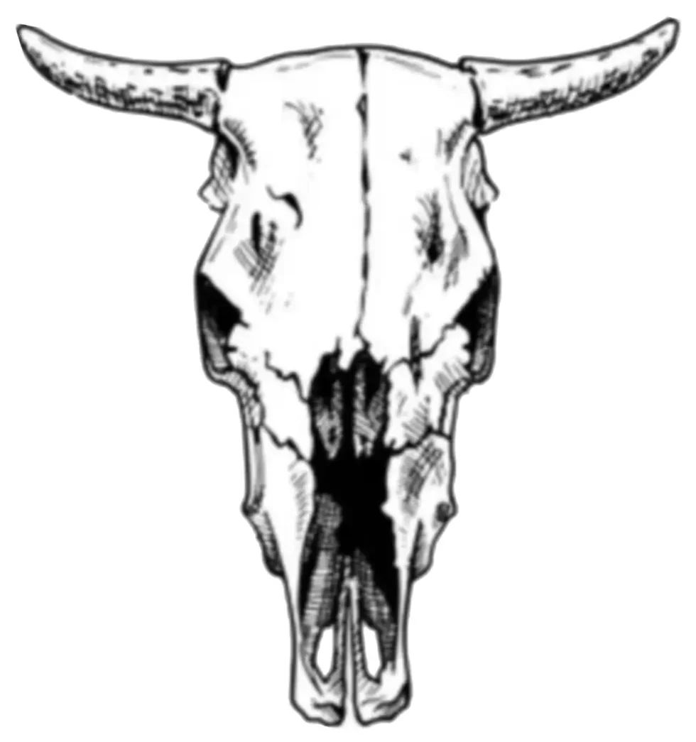 Bull Skull Tattoo Stencil