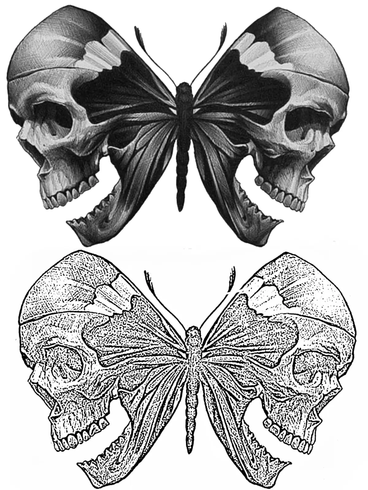 Skull and Butterfly Tattoo Stencil