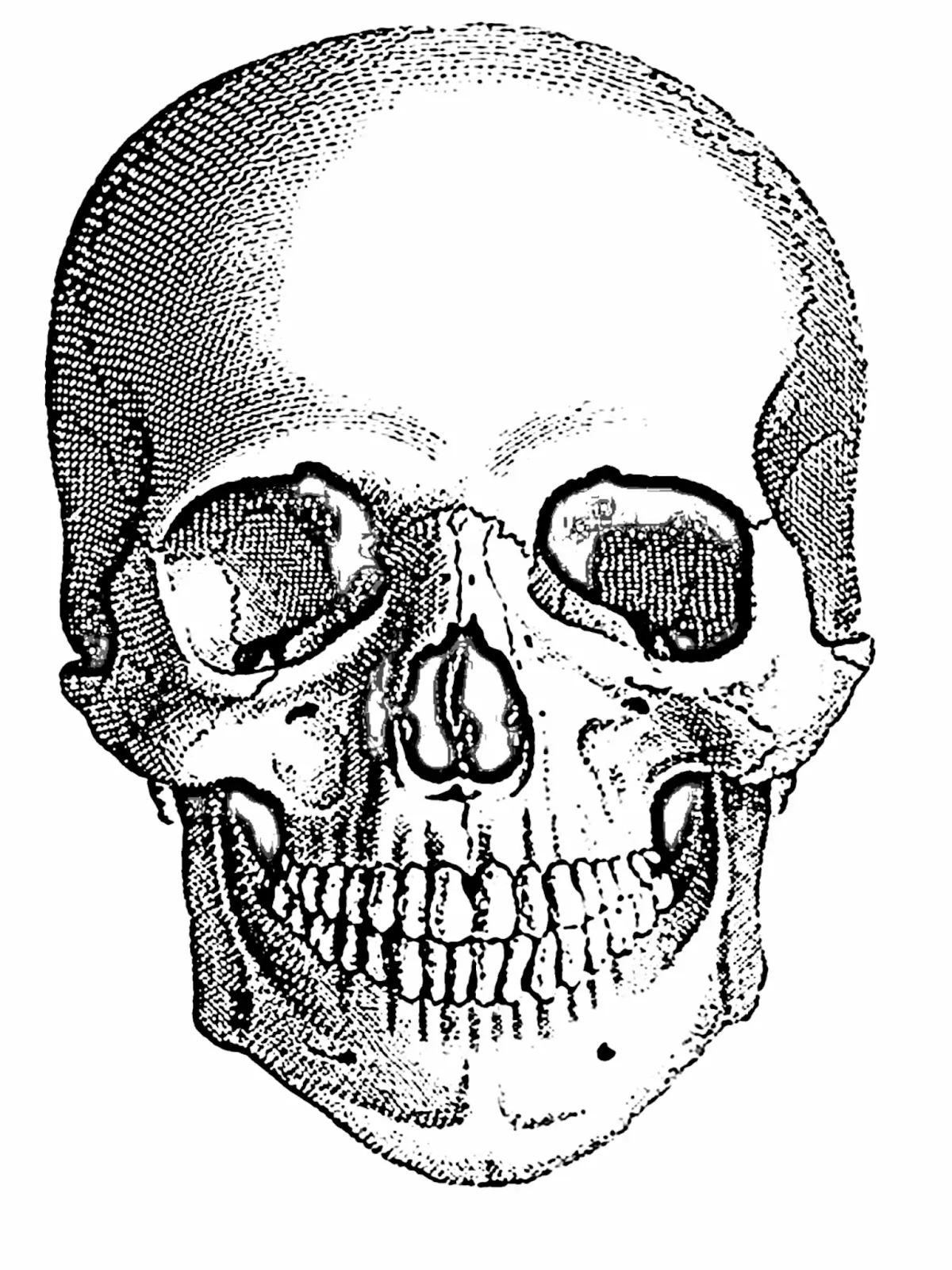 Skull Knee Tattoo Stencil